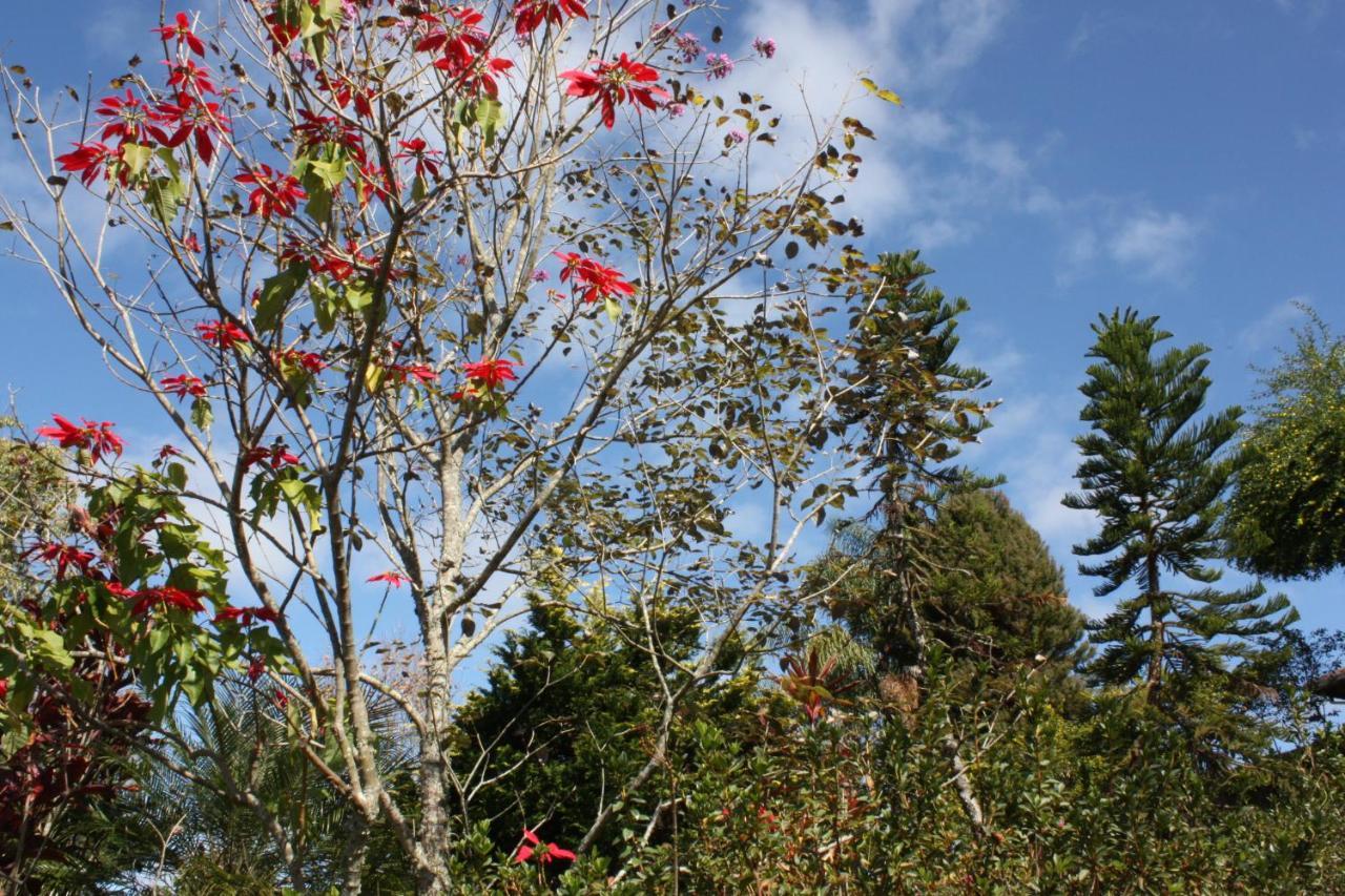 Pousada Campestre Sitio Da Lua Camanducaia Buitenkant foto